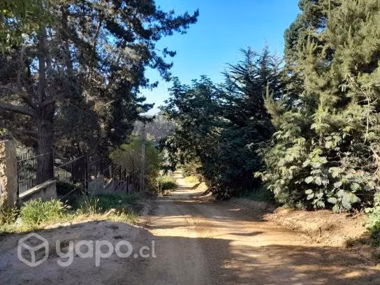 Vendo sitio en el quisco subida los lobos