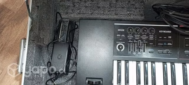 Ronald Juno Ds 61