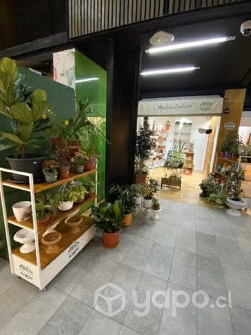 Remodelación de tiendas