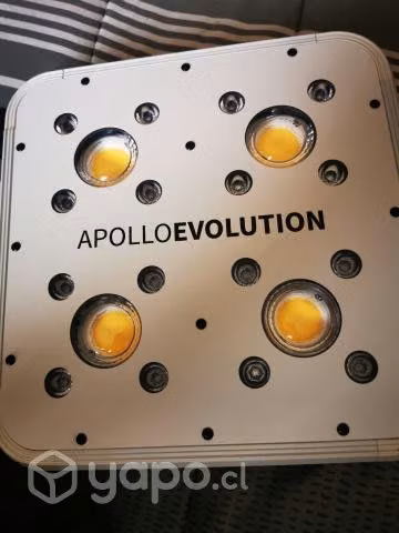 Apollo Evolution 4