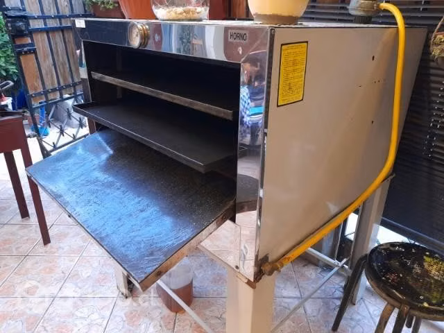 Horno a gas marca reinsac