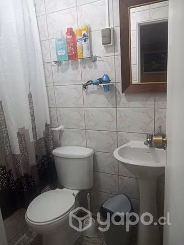 Cabaña  diario - Imagen 5