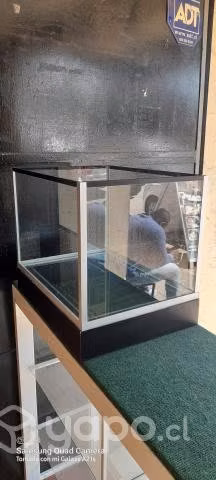 Acuario vidrio de 6mm.con base de aluminio. - Imagen 3