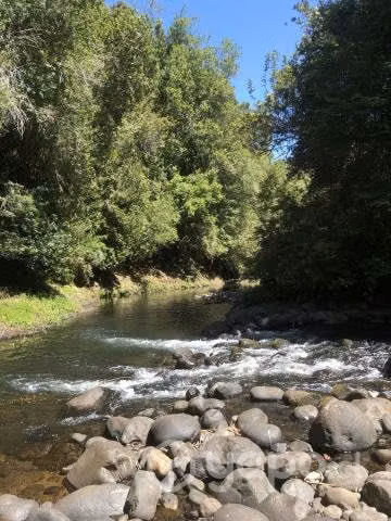 Parcela 1/2 Ha. Con acceso a Rio - Imagen 2