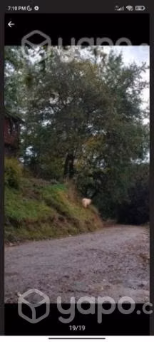 Parcela de 9.8 ha 2 cabañas hermosas vistas