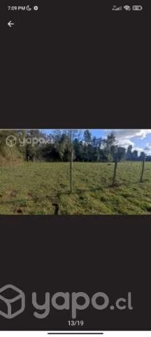 Parcela de 9.8 ha 2 cabañas hermosas vistas