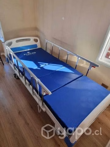 Cama Clinica