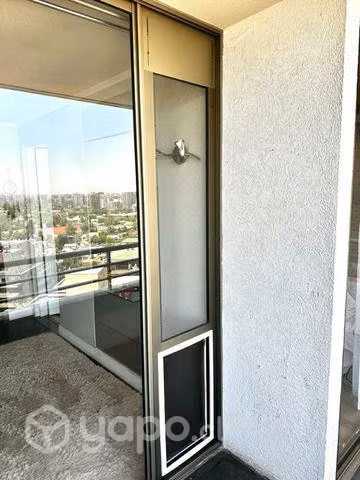 Puerta Terraza Perro XL