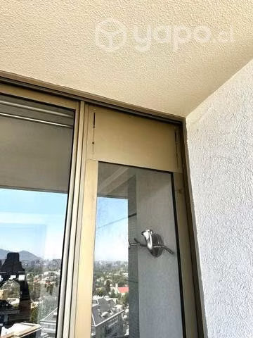Puerta Terraza Perro XL