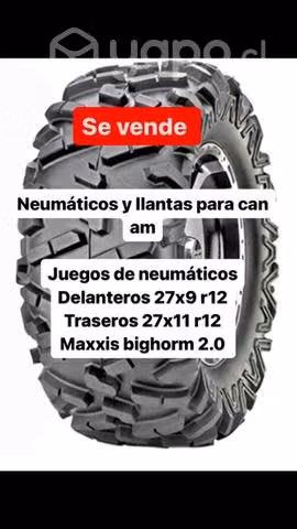 Neumáticos