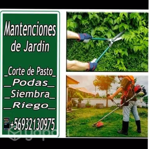 Jardinero