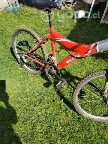 Bicicleta aro 24 color rojo avalanche