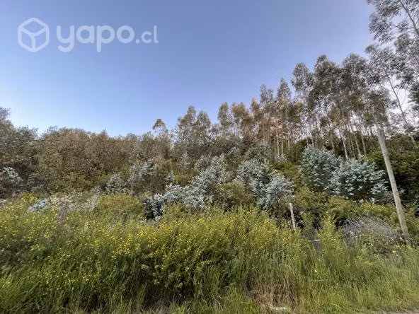 Sitio en Coliumo - Imagen 7