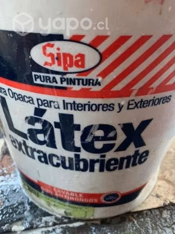 Latex sipa blanco hueso 30.000