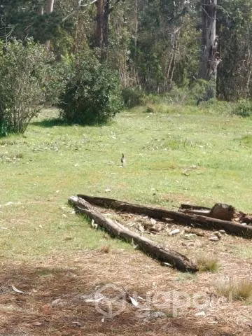 Terreno con casas el tabo - Imagen 4