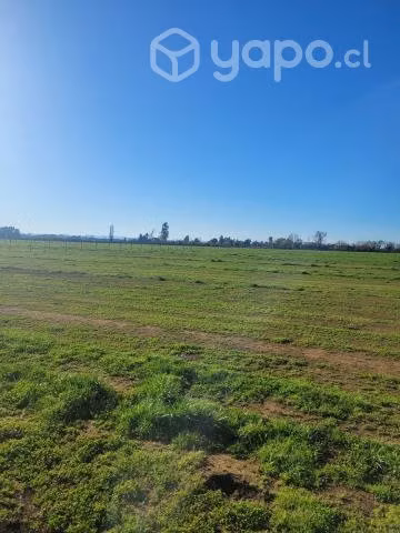 Lindas y buenas parcelas agrícolas - Imagen 2