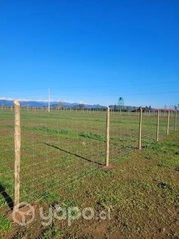 Lindas y buenas parcelas agrícolas - Imagen 3