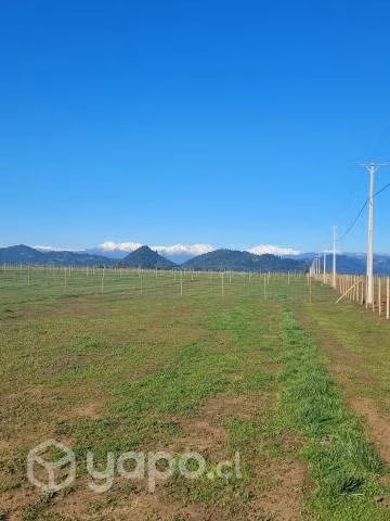 Lindas y buenas parcelas agrícolas - Imagen 7
