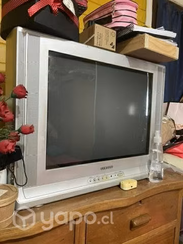 Televisión
