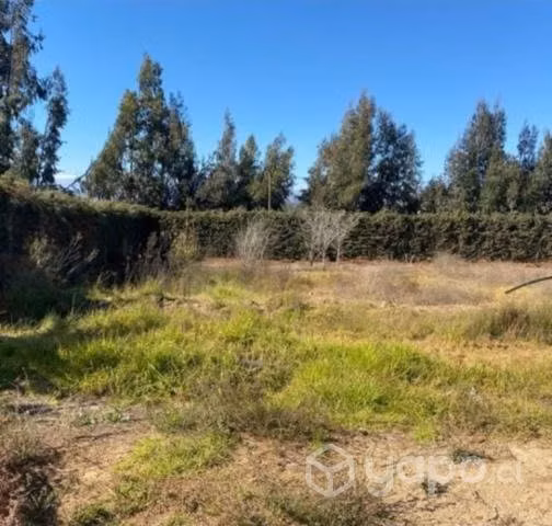 Parcelas planas 5000 m2 a 20 min de La Serena