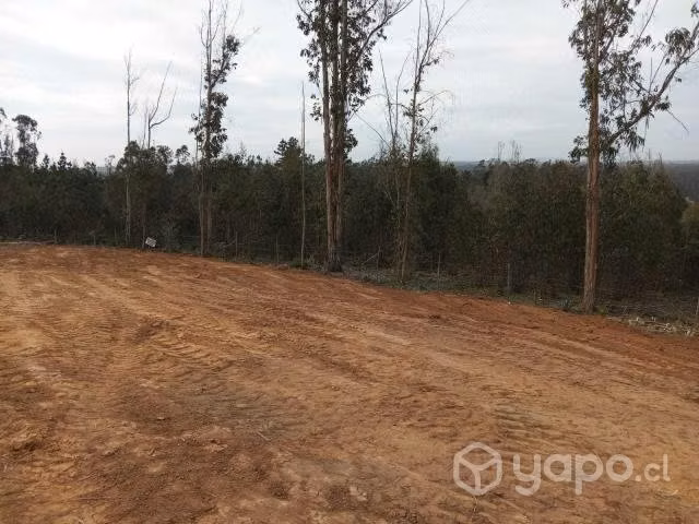 Sitio en el tabo - Imagen 5