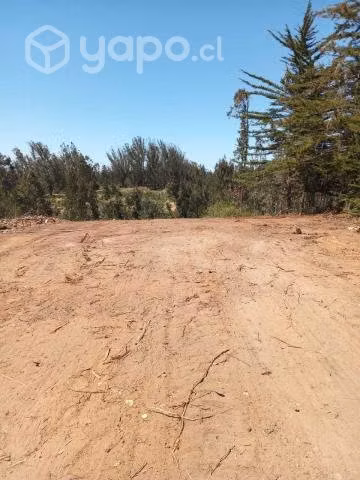 Sitio en el tabo