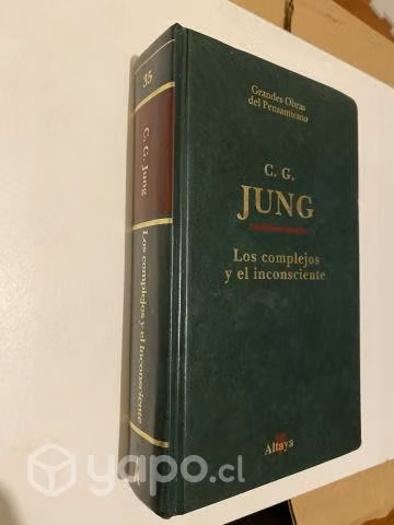 Carl Jung - Los complejos y el inconsciente