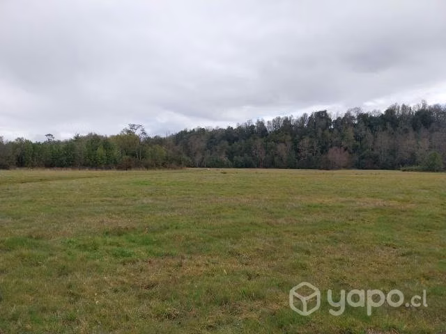 Parcela a 10 minutos del Lago Panguipulli - Imagen 6