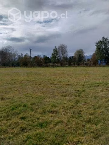 Parcela a 10 minutos del Lago Panguipulli - Imagen 5