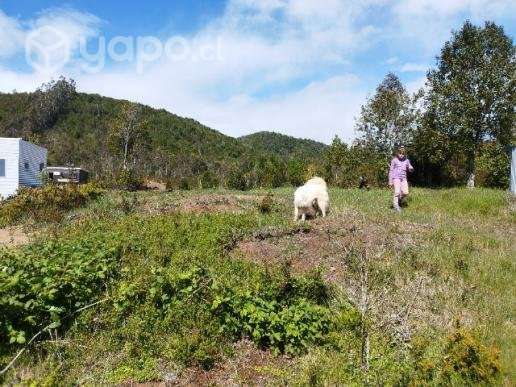 Terreno en chaihuin