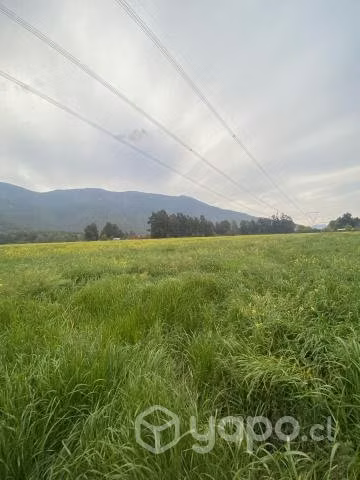 Parcela de Agrado Sector Aguila Sur - Imagen 4