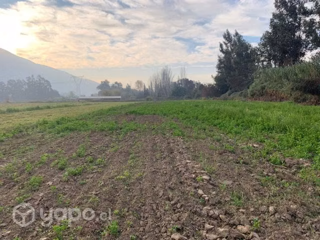 Parcela de Agrado Sector Aguila Sur - Imagen 7