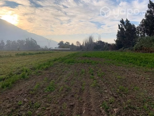 Parcela de Agrado Sector Aguila Sur - Imagen 5