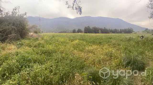 Parcela de Agrado Sector Aguila Sur - Imagen 2