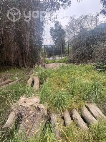 Parcela de Agrado Sector Aguila Sur - Imagen 3