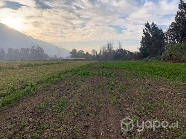 Parcela de Agrado Sector Aguila Sur - Imagen 6