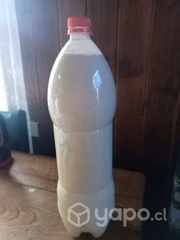 Huevos de campo y leche - Imagen 2