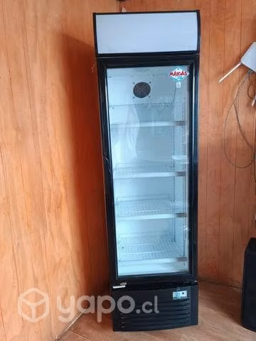 Vissicoler maigas nuevo