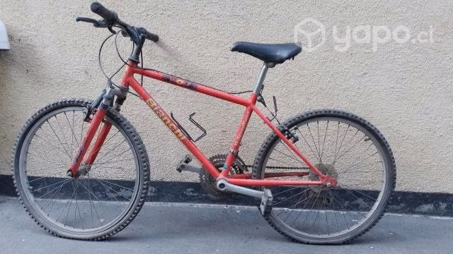 Bicicleta aro 24