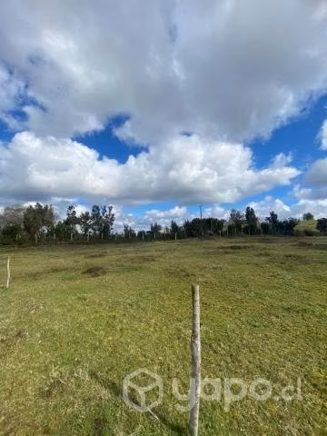 Parcelas palomar, ancud chiloé - Imagen 5