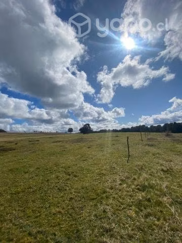 Parcelas palomar, ancud chiloé - Imagen 4