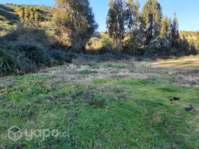 Parcela de agrado 5000 m2 El Toco, Pichidegua - Imagen 10