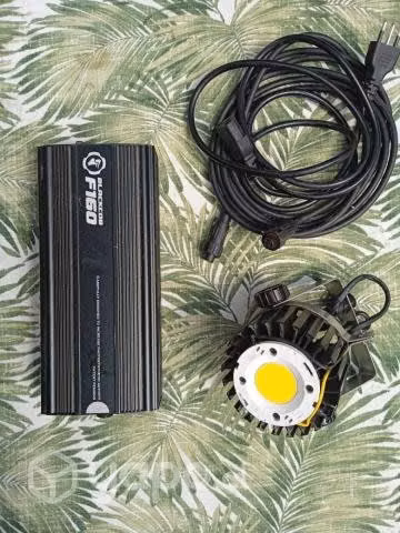 Luces Indoor, Black Cob F160