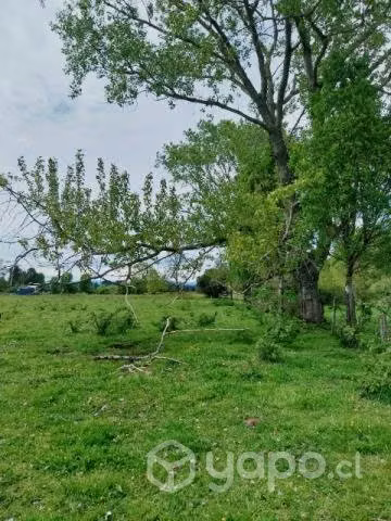 Hermoso terreno en Río Bueno - Imagen 2