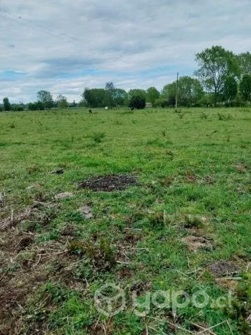 Hermoso terreno en Río Bueno - Imagen 3