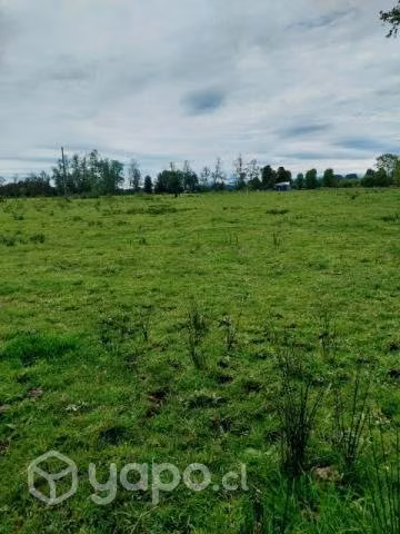 Hermoso terreno en Río Bueno