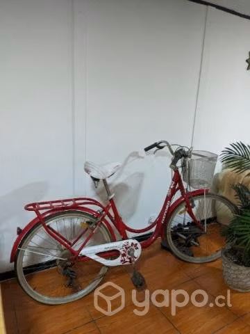 Bicicleta con canasto oxford