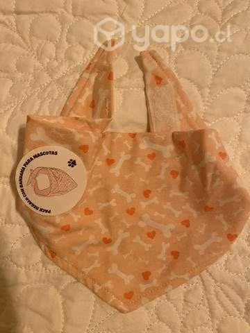 Bandana para perro