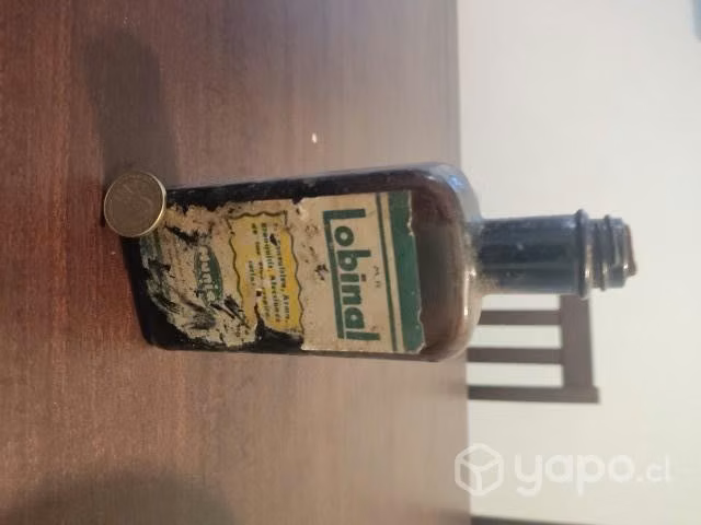 Botella antigua lobinal