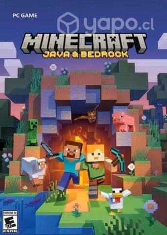 Minecraft Java & Bedrock Microsoft PC